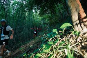 BIB: 
                            <button type="button" onclick="openModal(28124237)" class="btn btn-primary btn-sm float-right btn-popup" data-toggle="modal" data-target=".modal-high-quality">
                        <i class="fas fa-shopping-cart"></i> Add to Cart
                    </button>
                                            <button type="button" onclick="isThisMe(28124237, true)" class="btn btn-success btn-sm float-right btn-popup btn-isme hidden" data-toggle="tooltip" data-placement="bottom" title="นี่คือรูปของคุณใช่ไหม คลิกที่นี่เพื่อเอาเข้าอัลบั้ม">
                        <i class="fas fa-plus"></i> Add to album
                    </button>
                    <button type="button" onclick="isThisMe(28124237, false)" class="btn btn-warning btn-sm float-right btn-popup btn-isnotme hidden">
                        <i class="fas fa-ban"></i> Remove from album
                    </button>